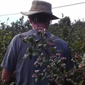 11811462_10206884121329150_2069270518044324772_n